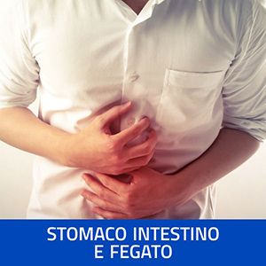 integratori per lo stomaco intestino e fegato